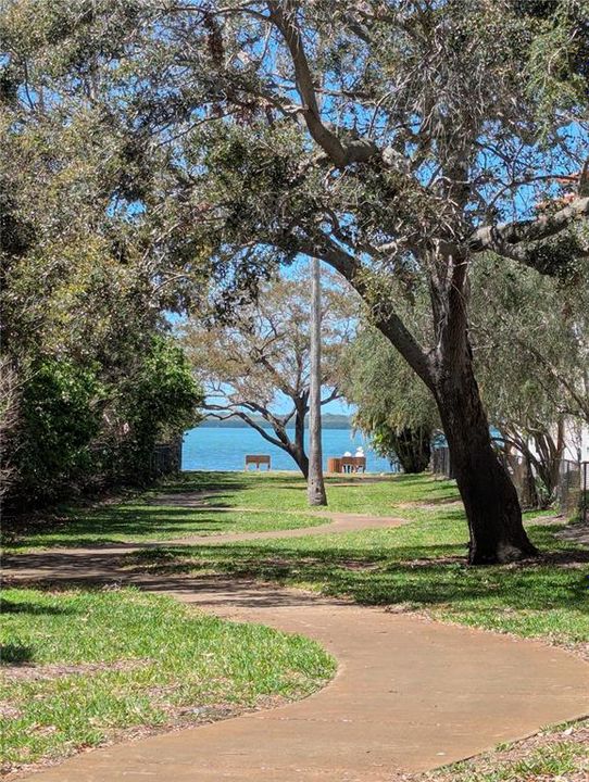 Wilson Street Park
