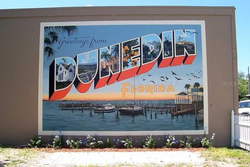 Welcome to Dunedin
