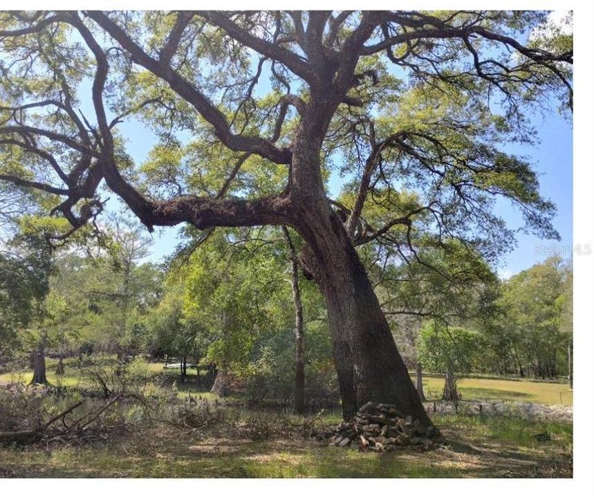 待售: $80,000 (0.65 acres)