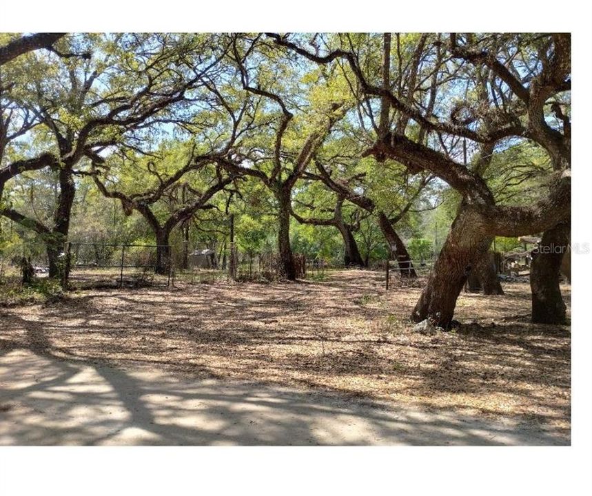 待售: $80,000 (0.65 acres)