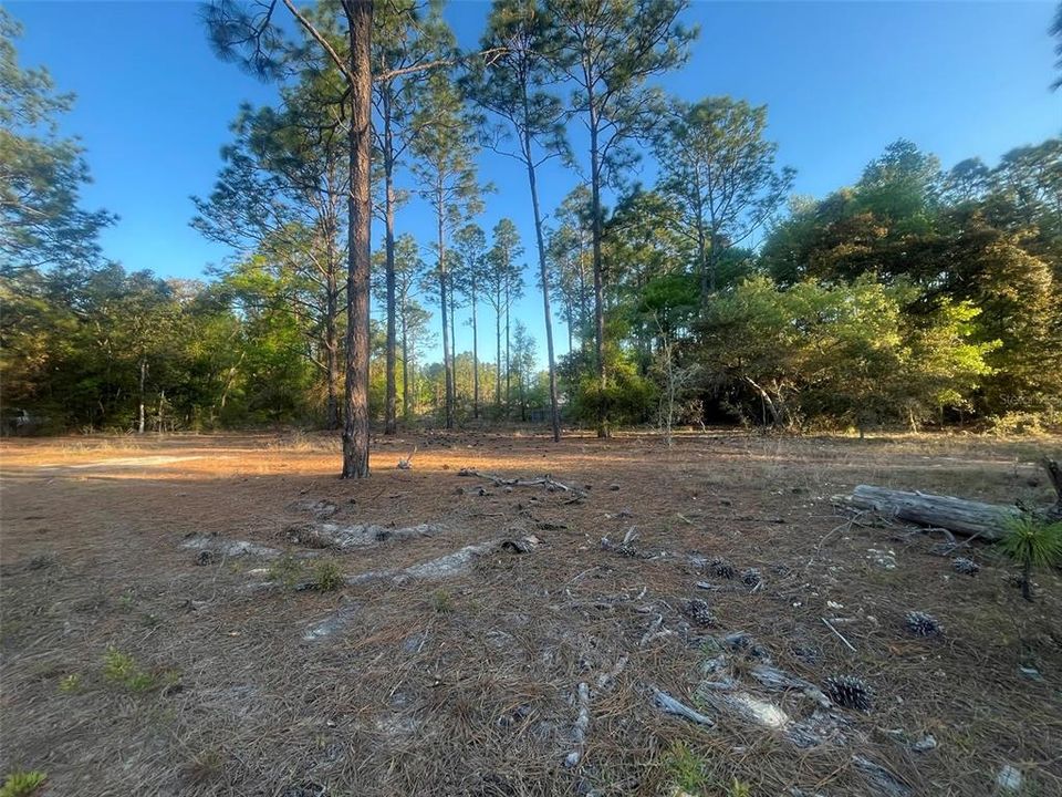 Недавно продано: $34,999 (0.95 acres)