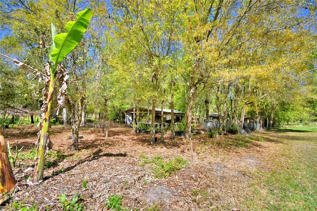 En Venta: $275,000 (4 camas, 1 baños, 924 Pies cuadrados)