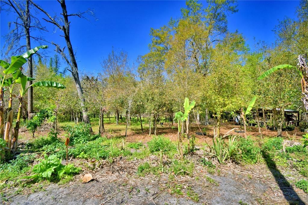 En Venta: $275,000 (4 camas, 1 baños, 924 Pies cuadrados)