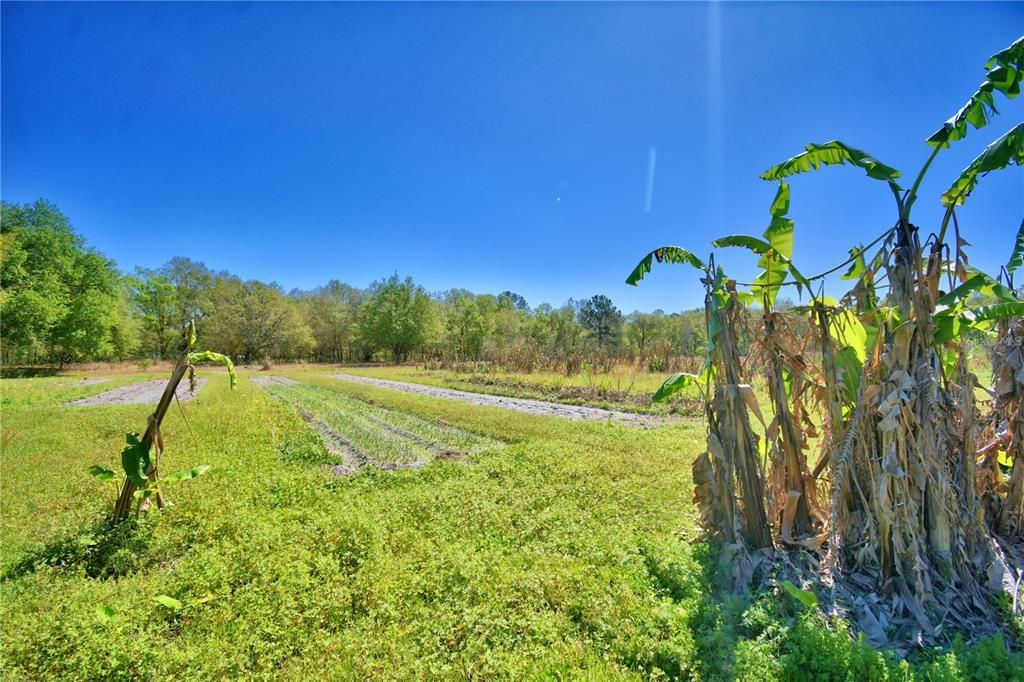 En Venta: $275,000 (4 camas, 1 baños, 924 Pies cuadrados)