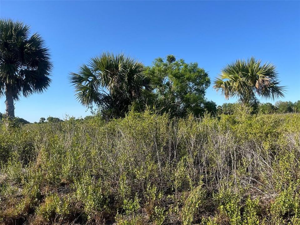 最近售出: $24,400 (1.25 acres)