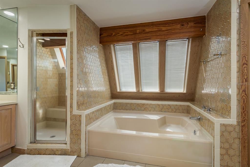Primary bathroom