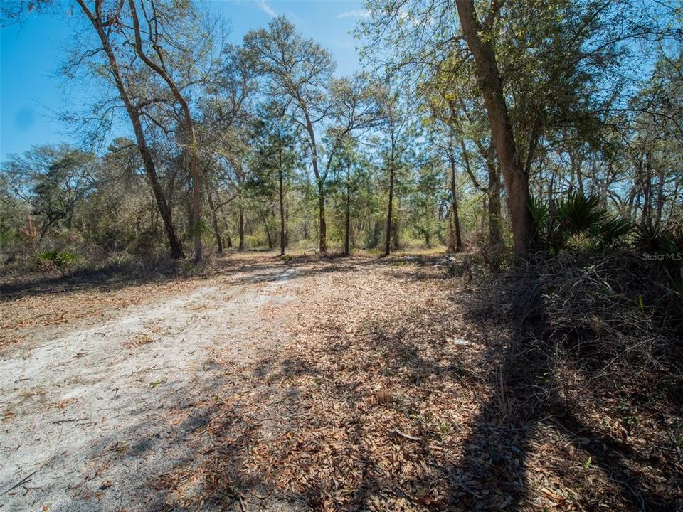 На продажу: $399,000 (39.60 acres)