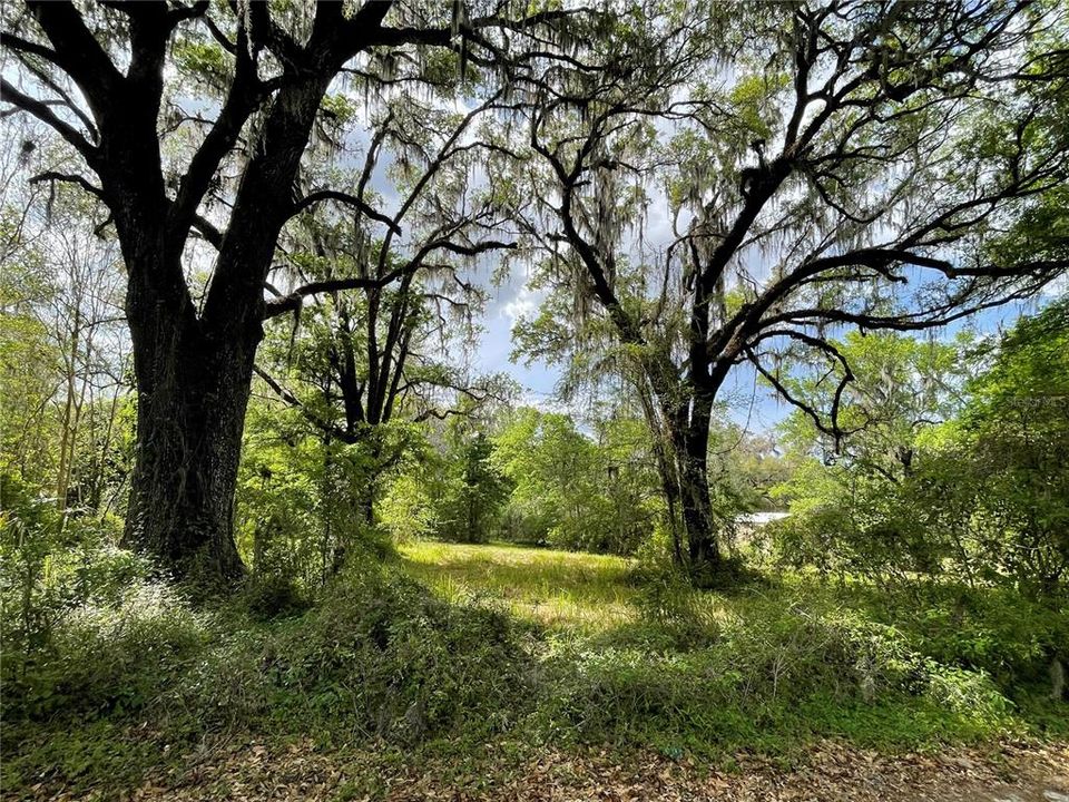 待售: $359,000 (15.00 acres)