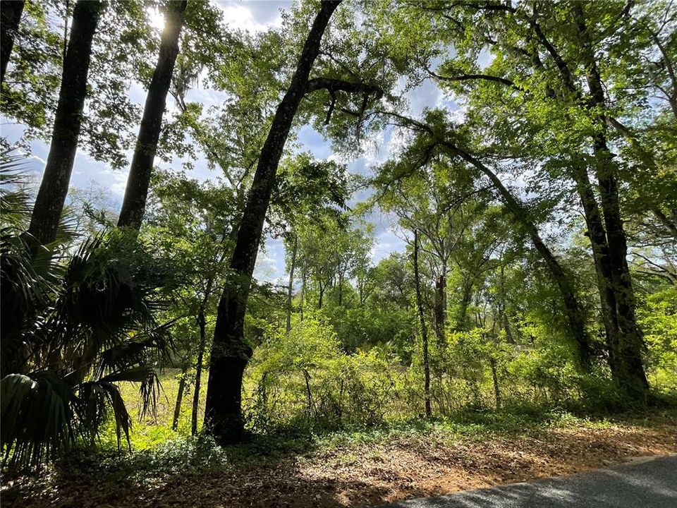 待售: $359,000 (15.00 acres)