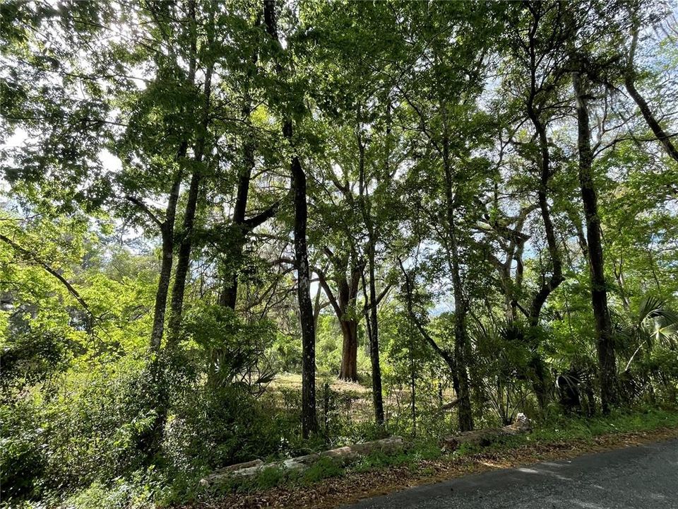 待售: $359,000 (15.00 acres)