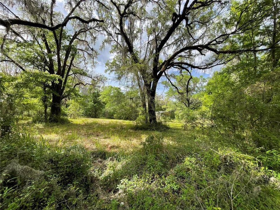 For Sale: $329,000 (15.00 acres)