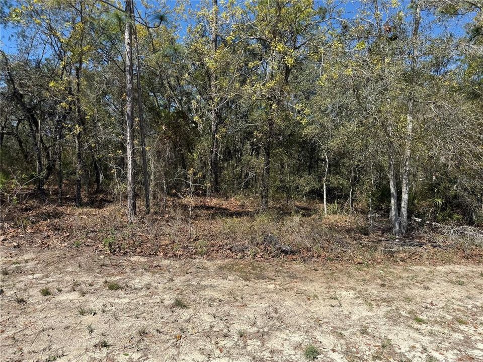 Недавно продано: $39,900 (0.46 acres)