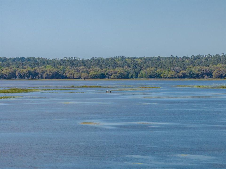 待售: $199,900 (2.62 acres)