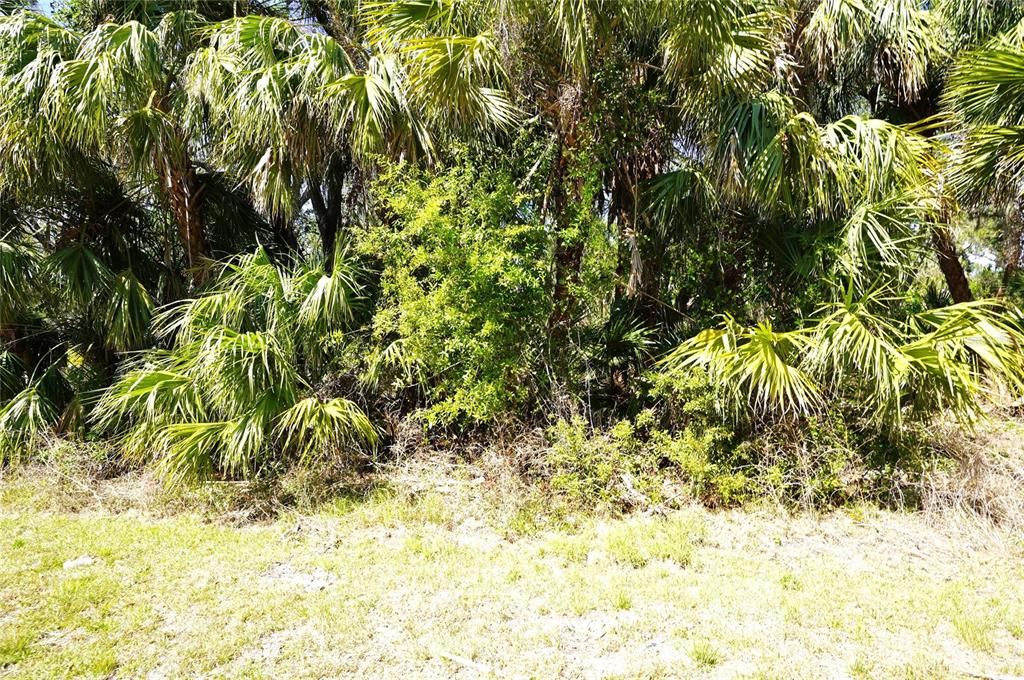 合同活跃: $17,000 (0.23 acres)