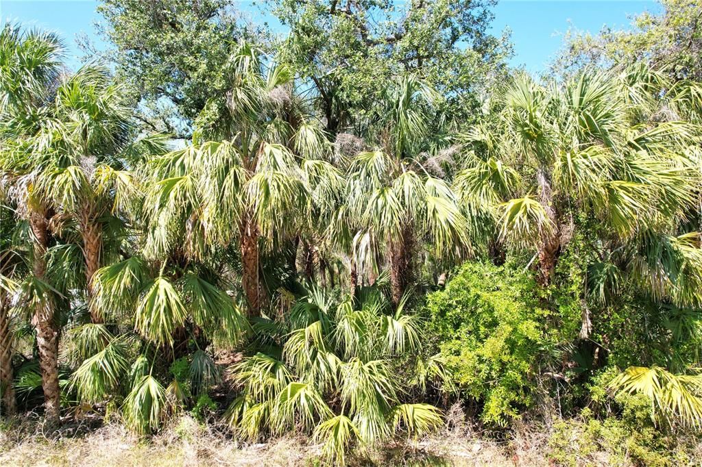 合同活跃: $17,000 (0.23 acres)