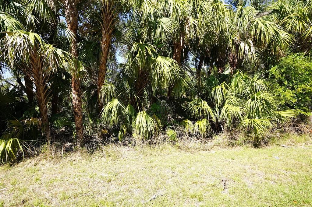 合同活跃: $17,000 (0.23 acres)