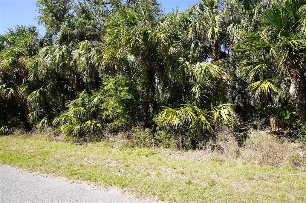 合同活跃: $17,000 (0.23 acres)