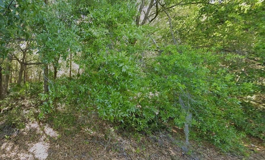 Recently Sold: $313,008 (1.40 acres)