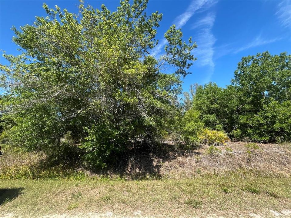 最近售出: $24,900 (1.25 acres)