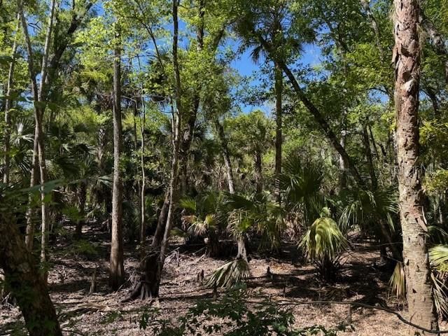 最近售出: $25,000 (3.00 acres)