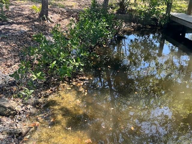 На продажу: $215,000 (0.23 acres)