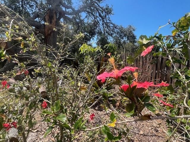 На продажу: $215,000 (0.23 acres)