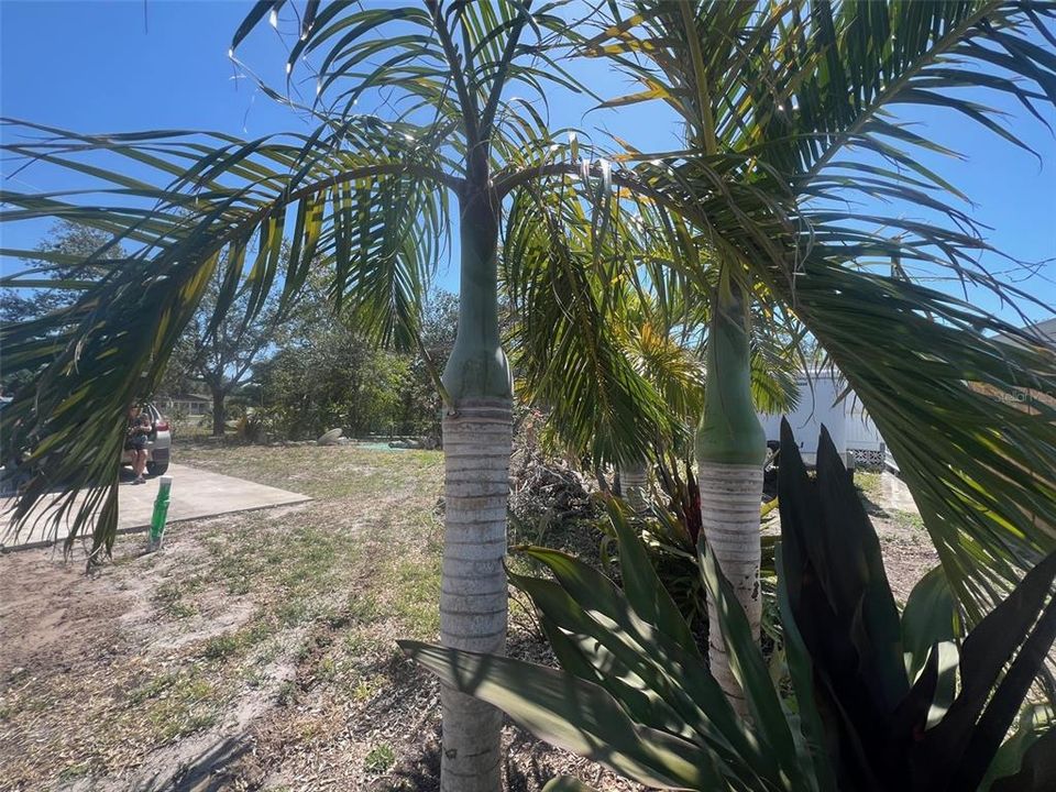 На продажу: $215,000 (0.23 acres)