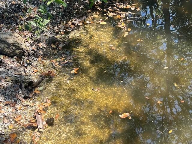 На продажу: $215,000 (0.23 acres)