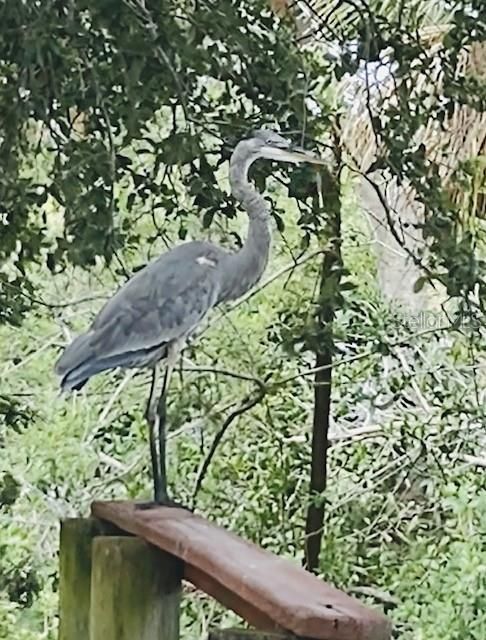 На продажу: $215,000 (0.23 acres)