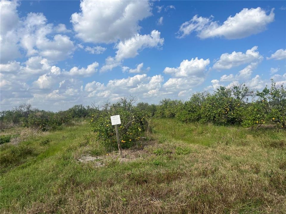 Recently Sold: $79,900 (10.00 acres)