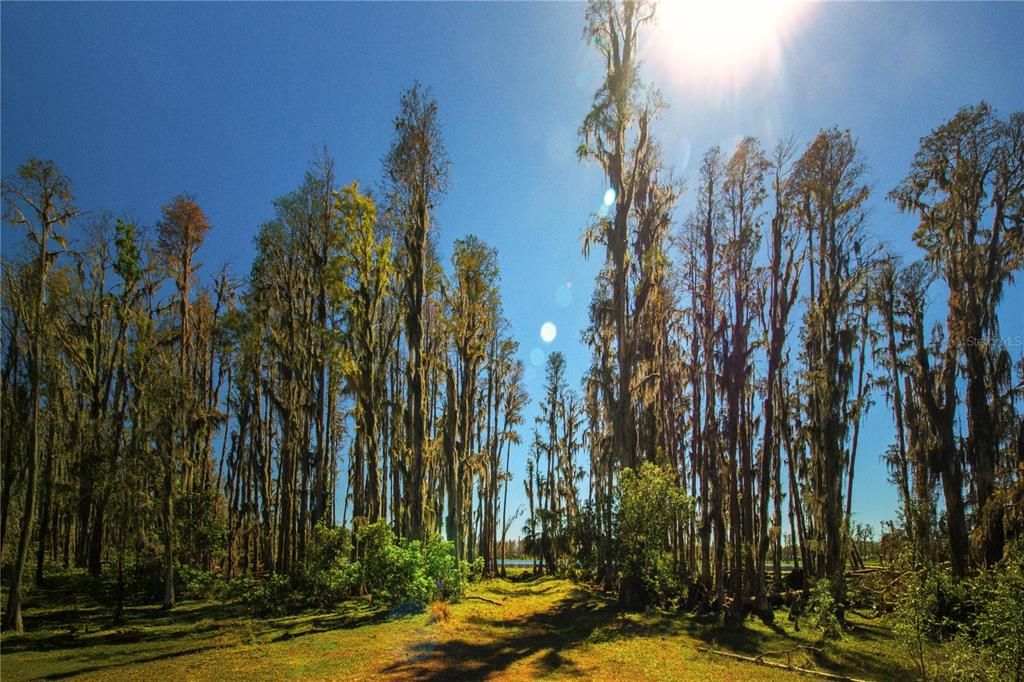 For Sale: $1,250,000 (26.45 acres)