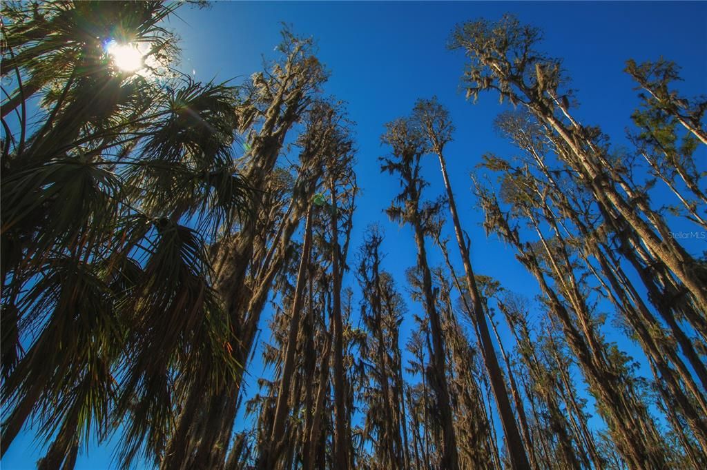 For Sale: $1,250,000 (26.45 acres)