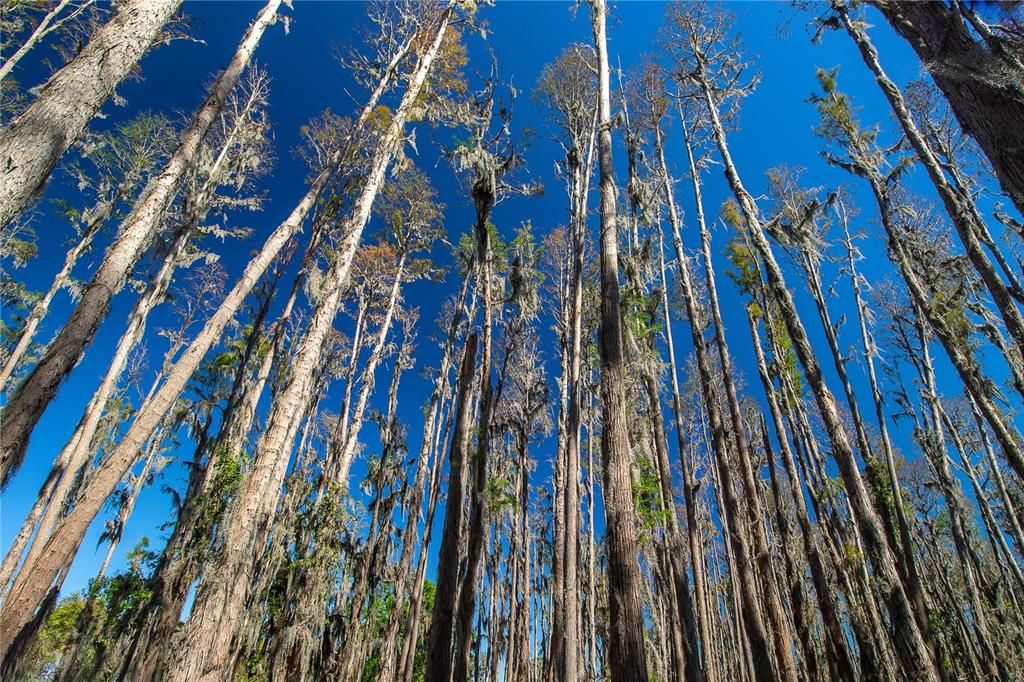 For Sale: $1,250,000 (26.45 acres)