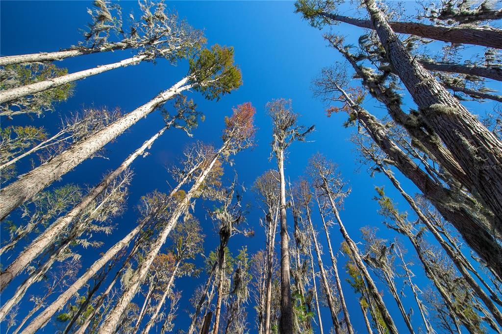 For Sale: $1,250,000 (26.45 acres)