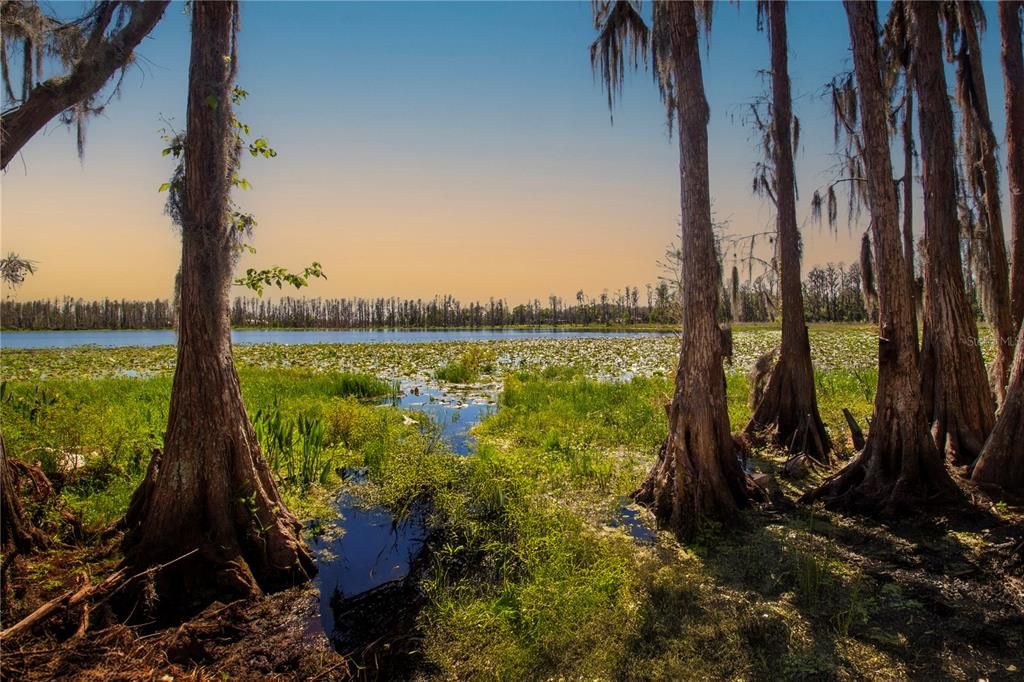 For Sale: $1,250,000 (26.45 acres)