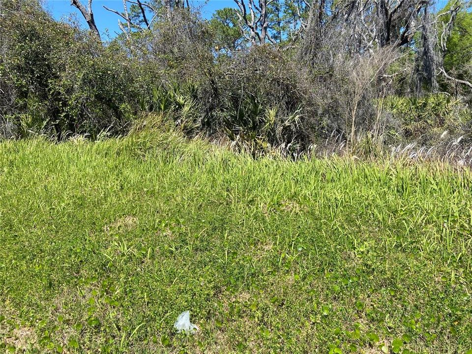 На продажу: $25,000 (2.50 acres)