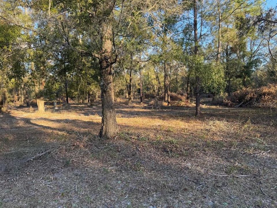 待售: $170,000 (10.33 acres)