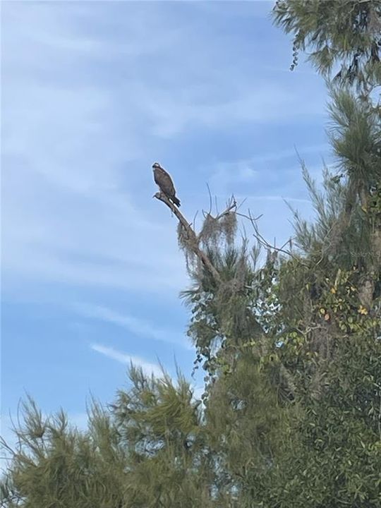 待售: $749,900 (4 贝兹, 3 浴室, 3407 平方英尺)