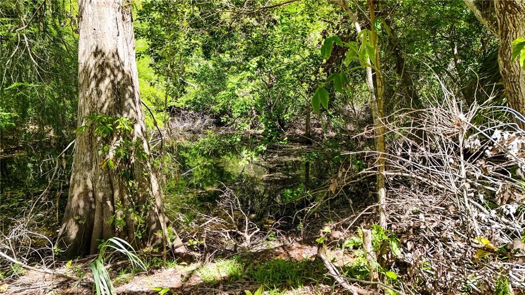 合同活跃: $135,000 (1.55 acres)