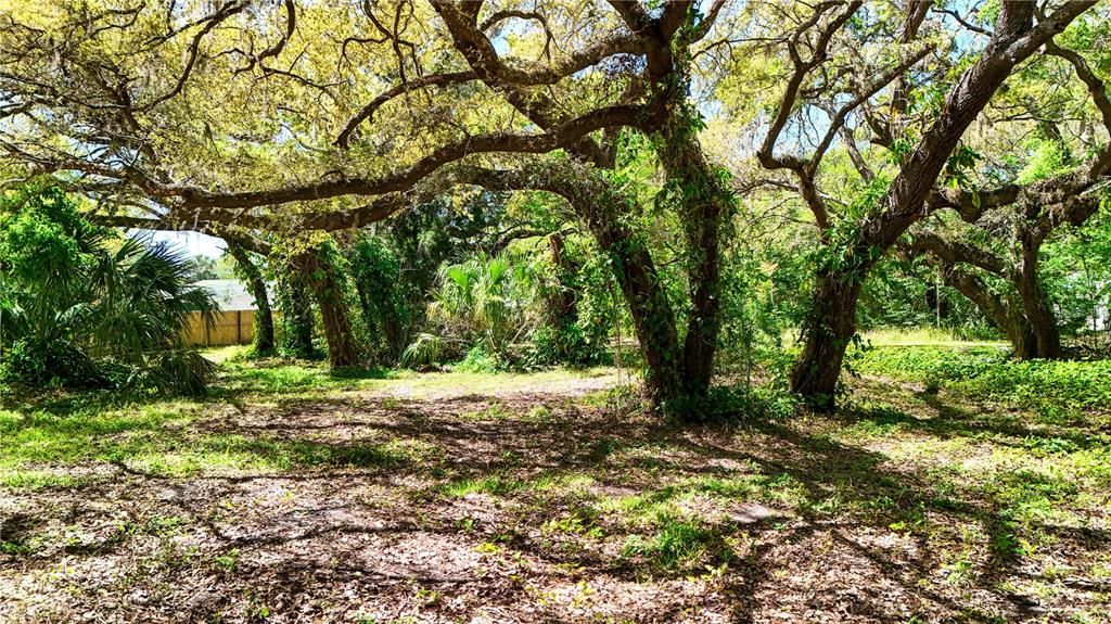 合同活跃: $135,000 (1.55 acres)