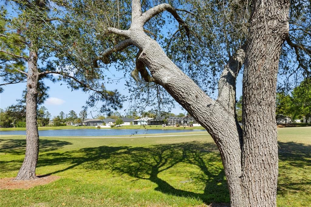 En Venta: $369,000 (3 camas, 2 baños, 1798 Pies cuadrados)