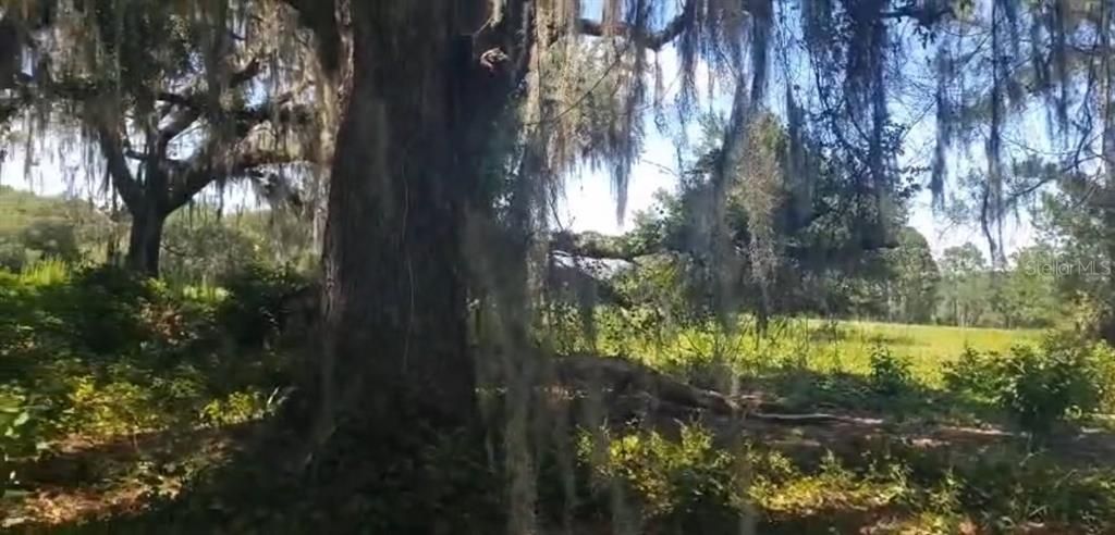 待售: $129,989 (20.53 acres)