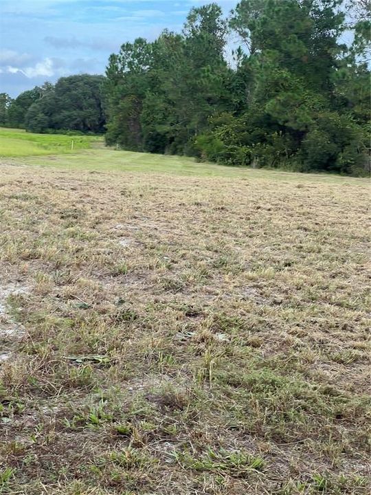 待售: $129,989 (20.53 acres)