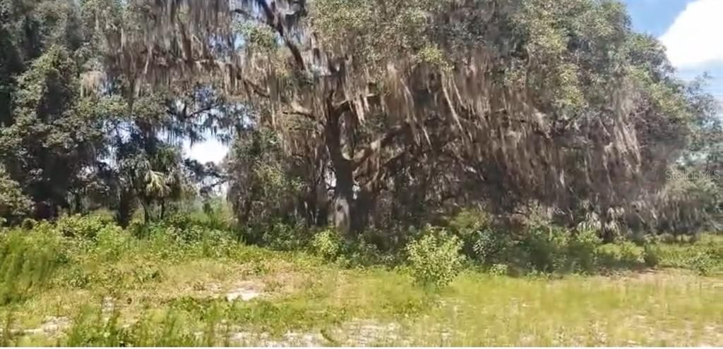 待售: $129,989 (20.53 acres)