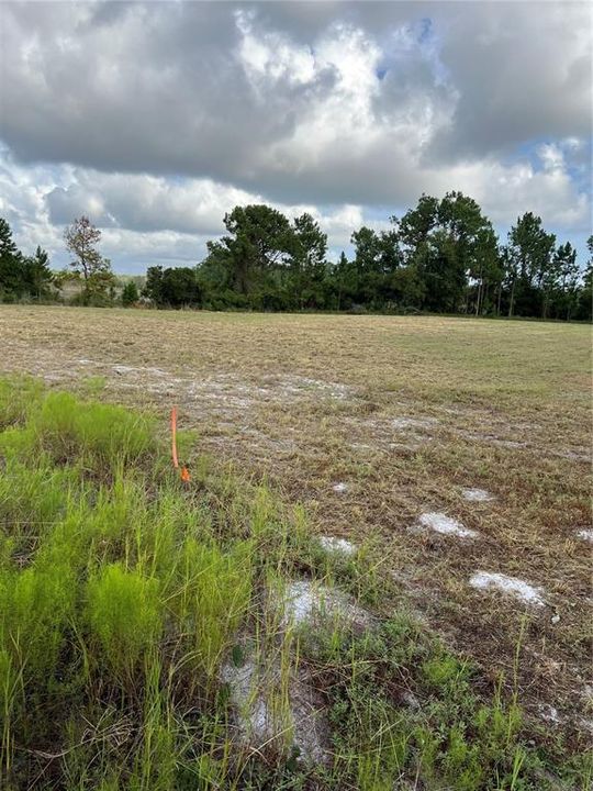 待售: $129,989 (20.53 acres)