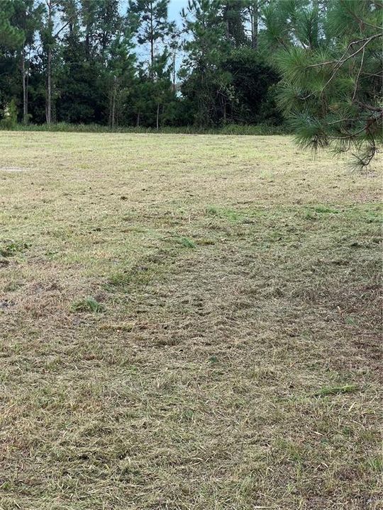 待售: $129,989 (20.53 acres)