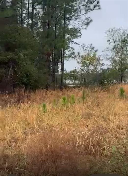 待售: $129,989 (20.53 acres)