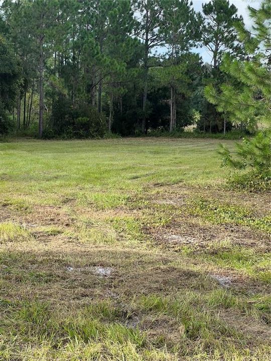 待售: $129,989 (20.53 acres)