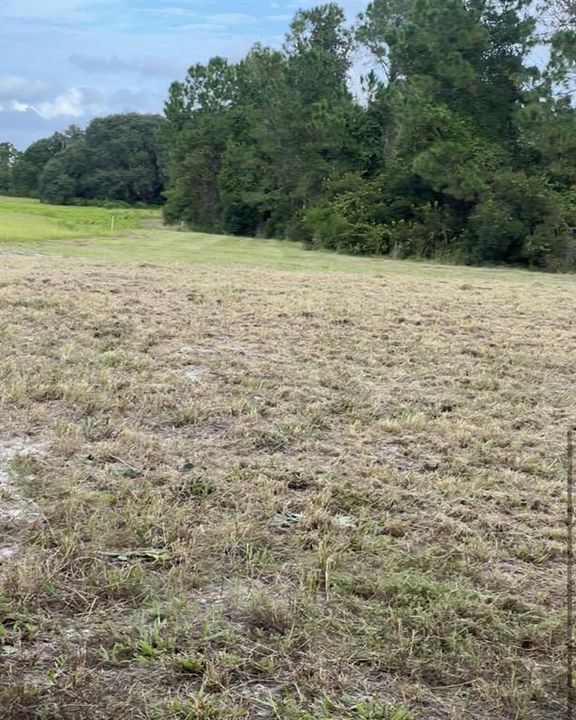 待售: $129,989 (20.53 acres)