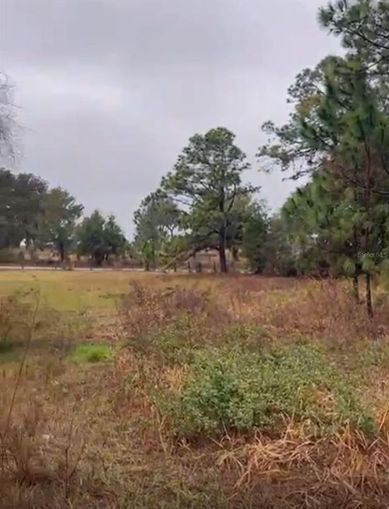 待售: $129,989 (20.53 acres)